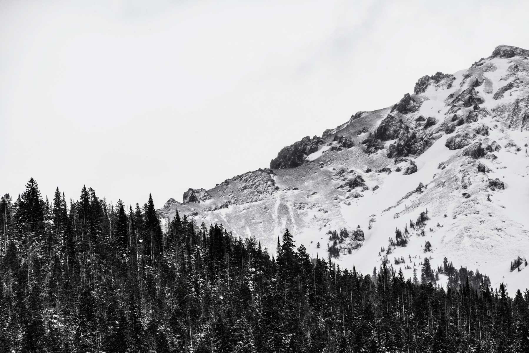 1-yellowstone-minimal