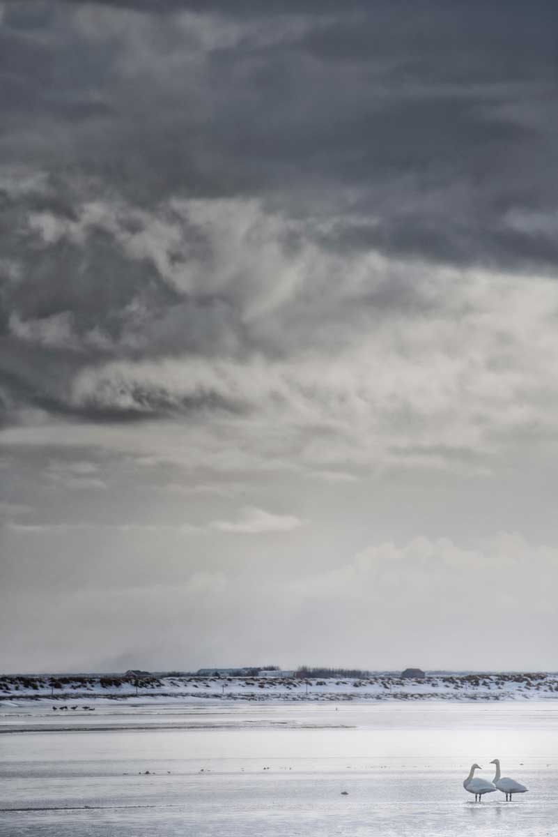 18b_cigni-minimal-sud-islanda