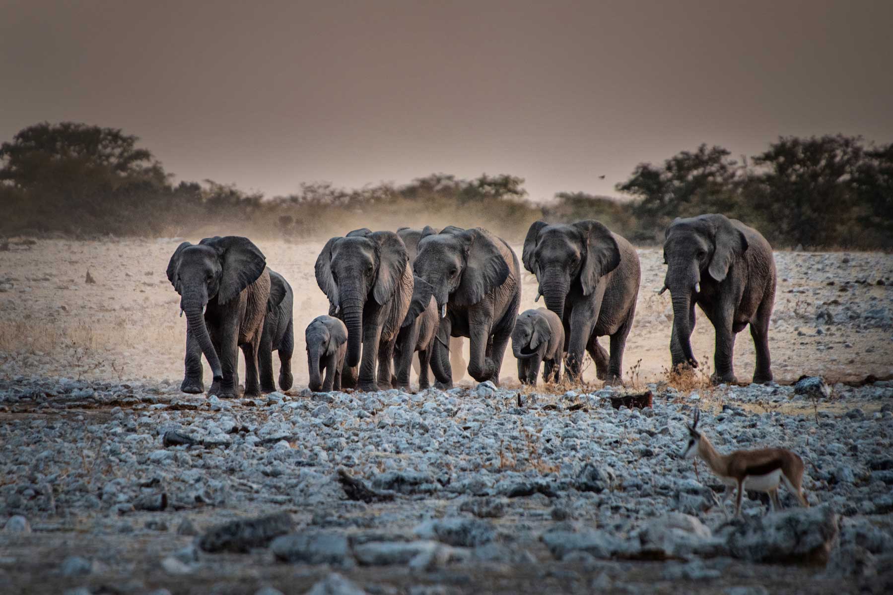 24-Namibia-viaggi-fotografici-nikon-school-travel-elisabetta-rosso-landscape139