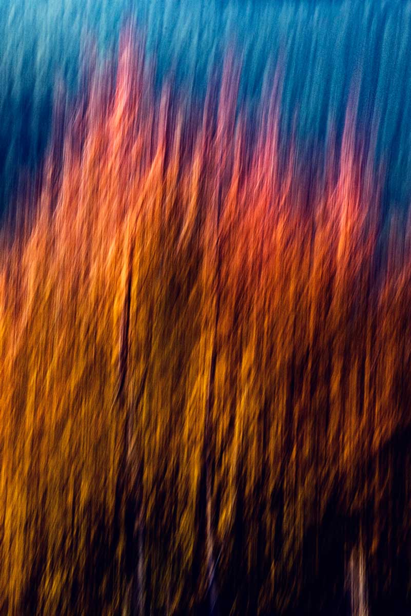 24b-panning-mosso-creativo