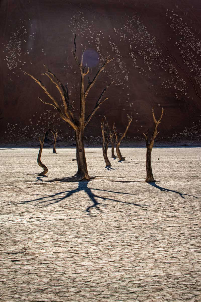 26-Namibia-viaggi-fotografici-nikon-school-travel-elisabetta-rosso-landscape097