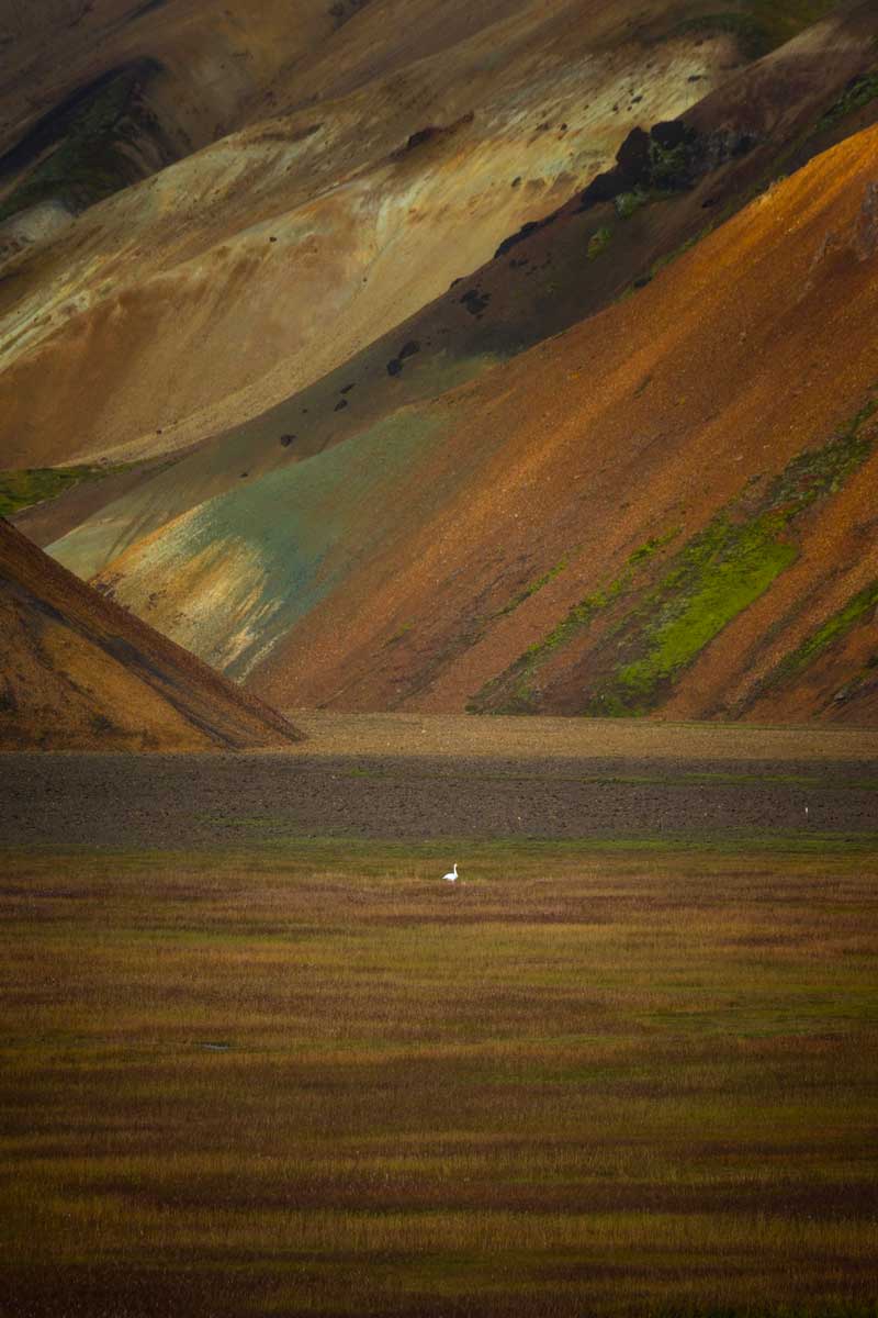 27_namibia-cigno-landmannalaugar