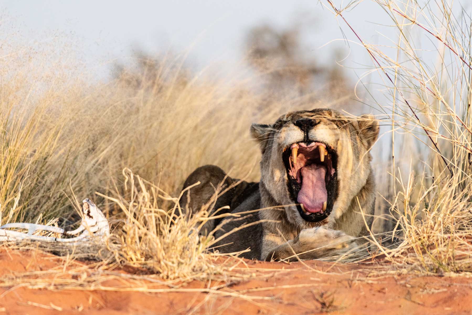 34-Namibia-viaggi-fotografici-nikon-school-travel01