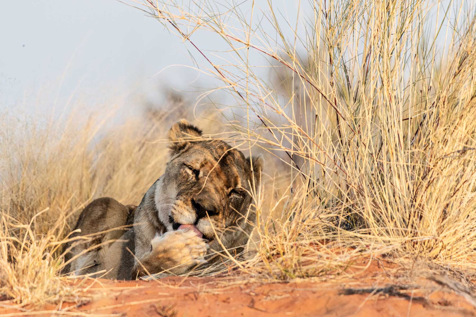 35-Namibia-viaggi-fotografici-nikon-school-travel02