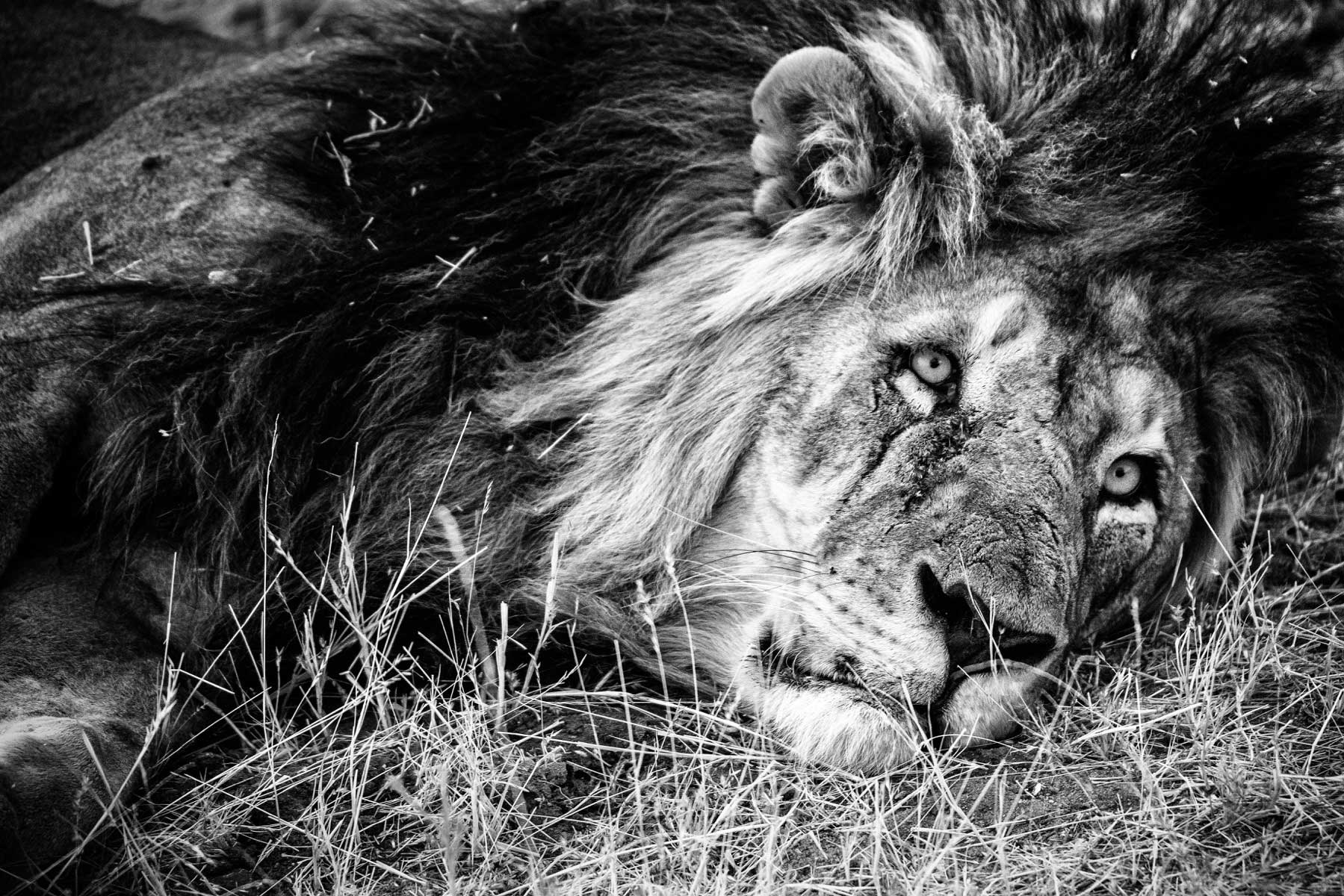 38-Namibia-viaggi-fotografici-nikon-school-travel14