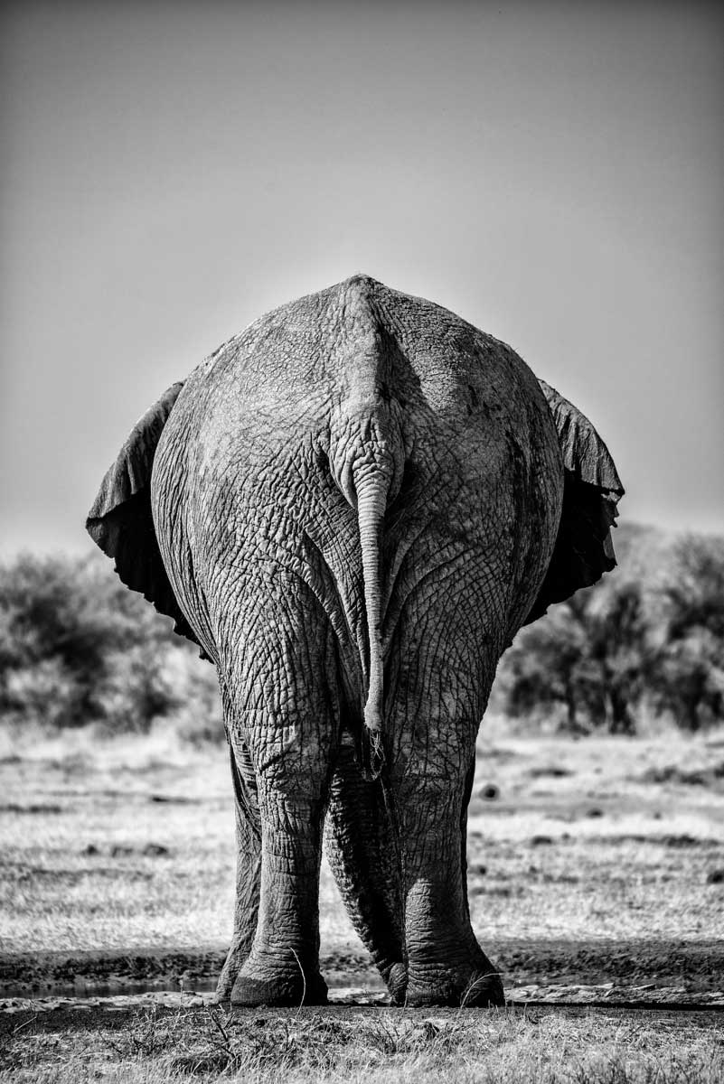 41-Namibia-viaggi-fotografici-nikon-school-travel11