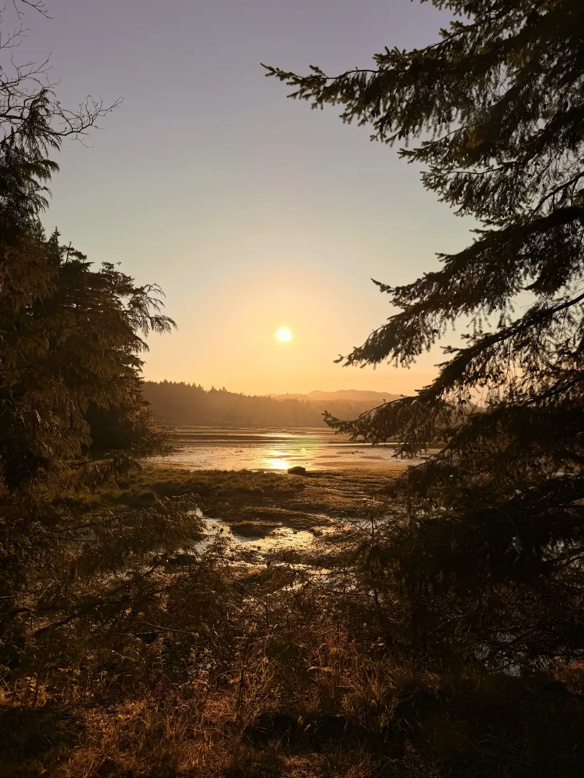 Viaggio fotografico Canada, imbarco per la rotta dei fiordi a Port Hardy