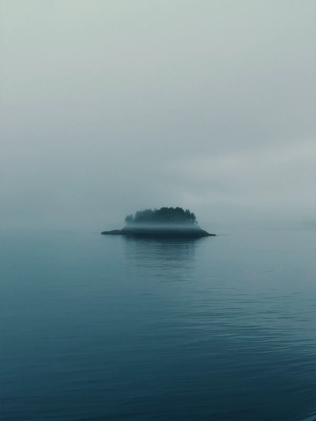 Viaggio fotografico Canada, isolotto nella nebbia lungo la rotta dei fiordi