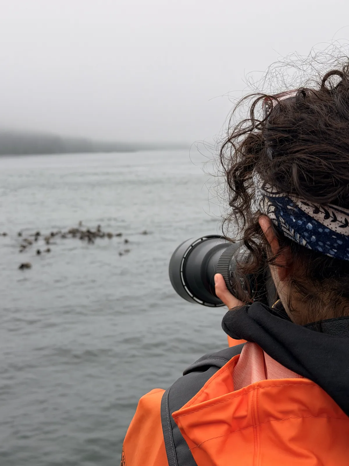 Viaggio fotografico Canada, fotografando le lontre marine a Tofino