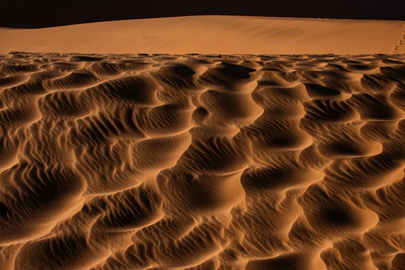 Conca di Deadvlei con le vestigia scheletriche dell'antica foresta di acacie