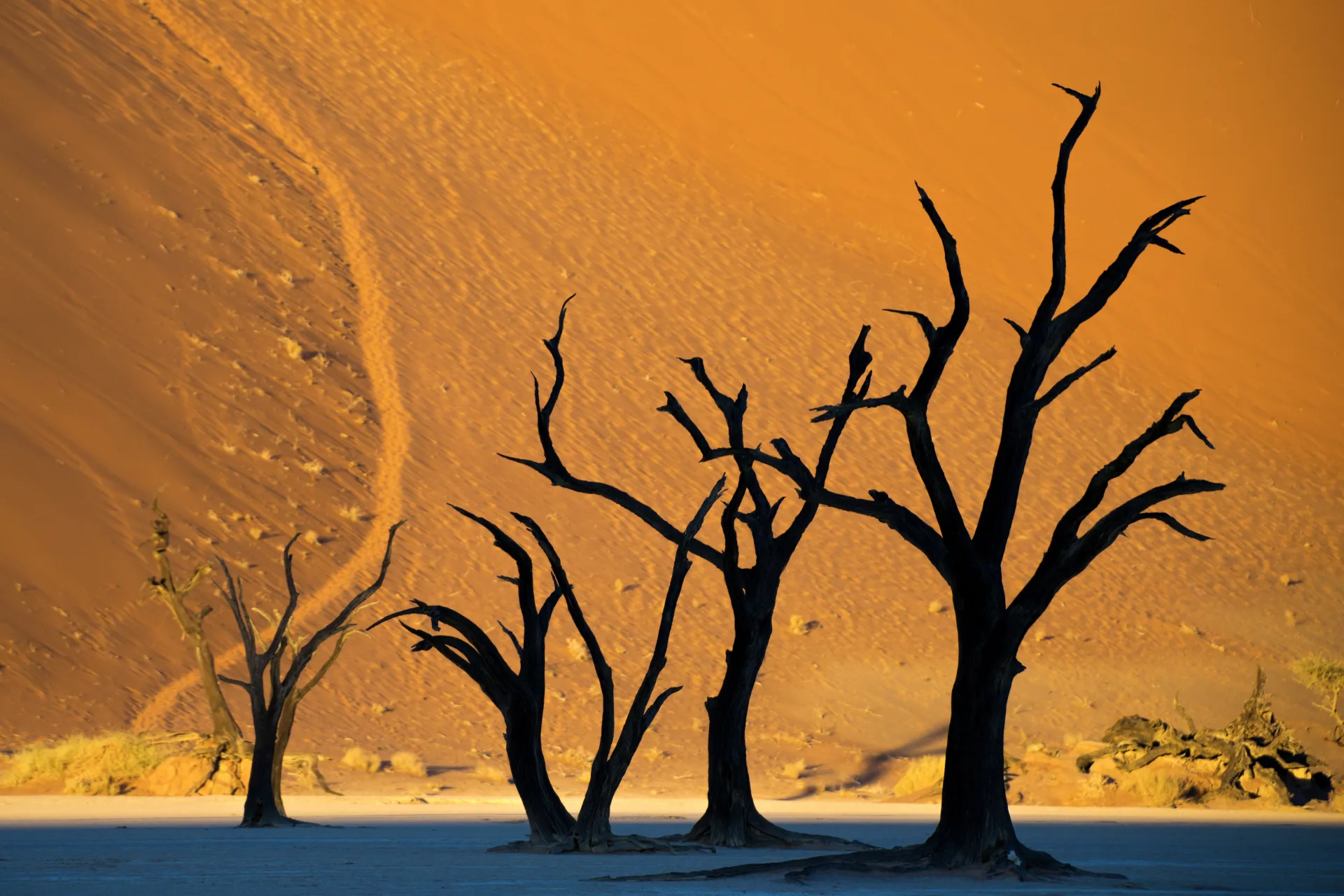 Dune del Namib con luce radente arancione vista da Deadvlei