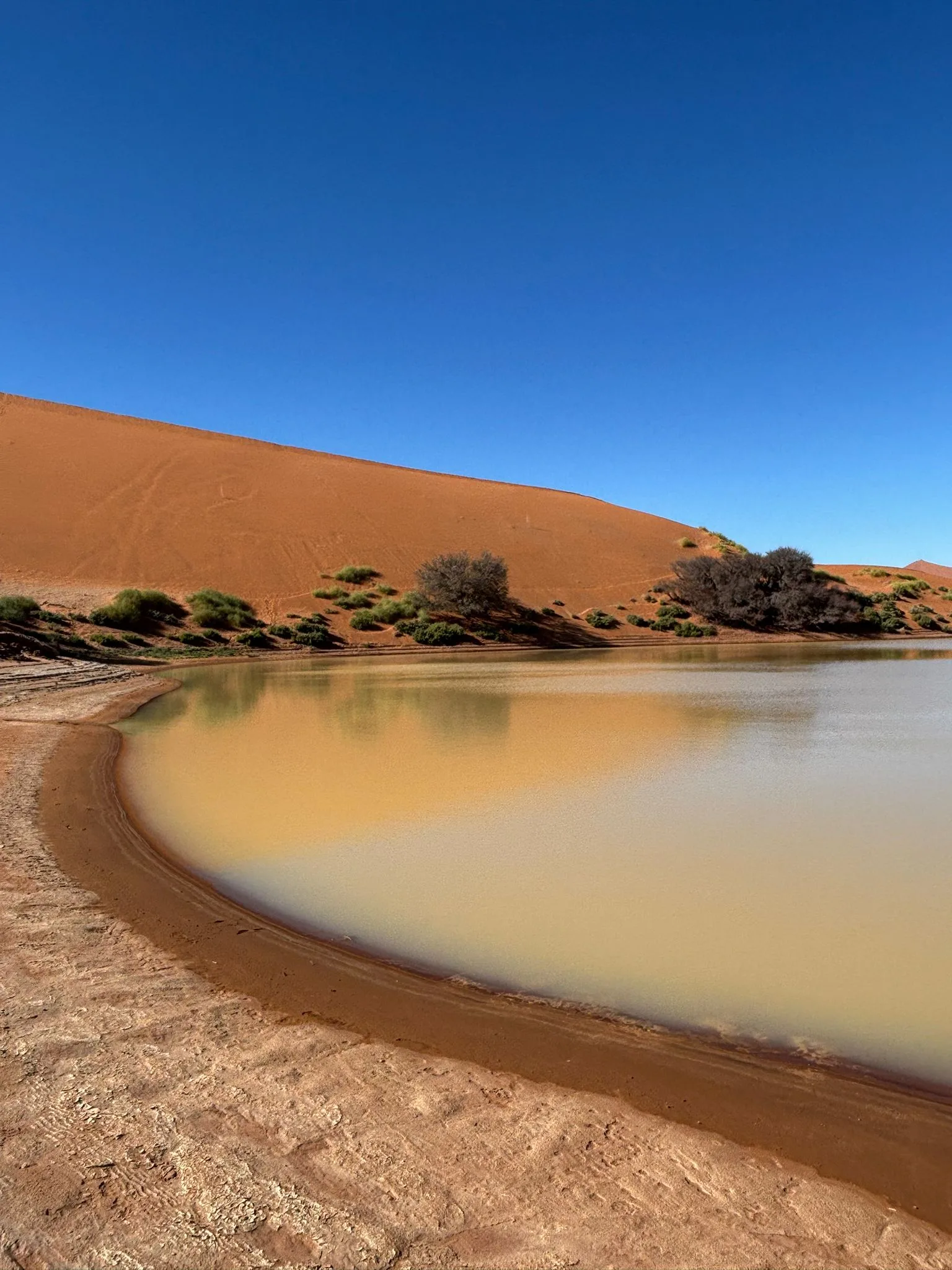 Fotografi al lavoro all'alba a Deadvlei, deserto del Namib