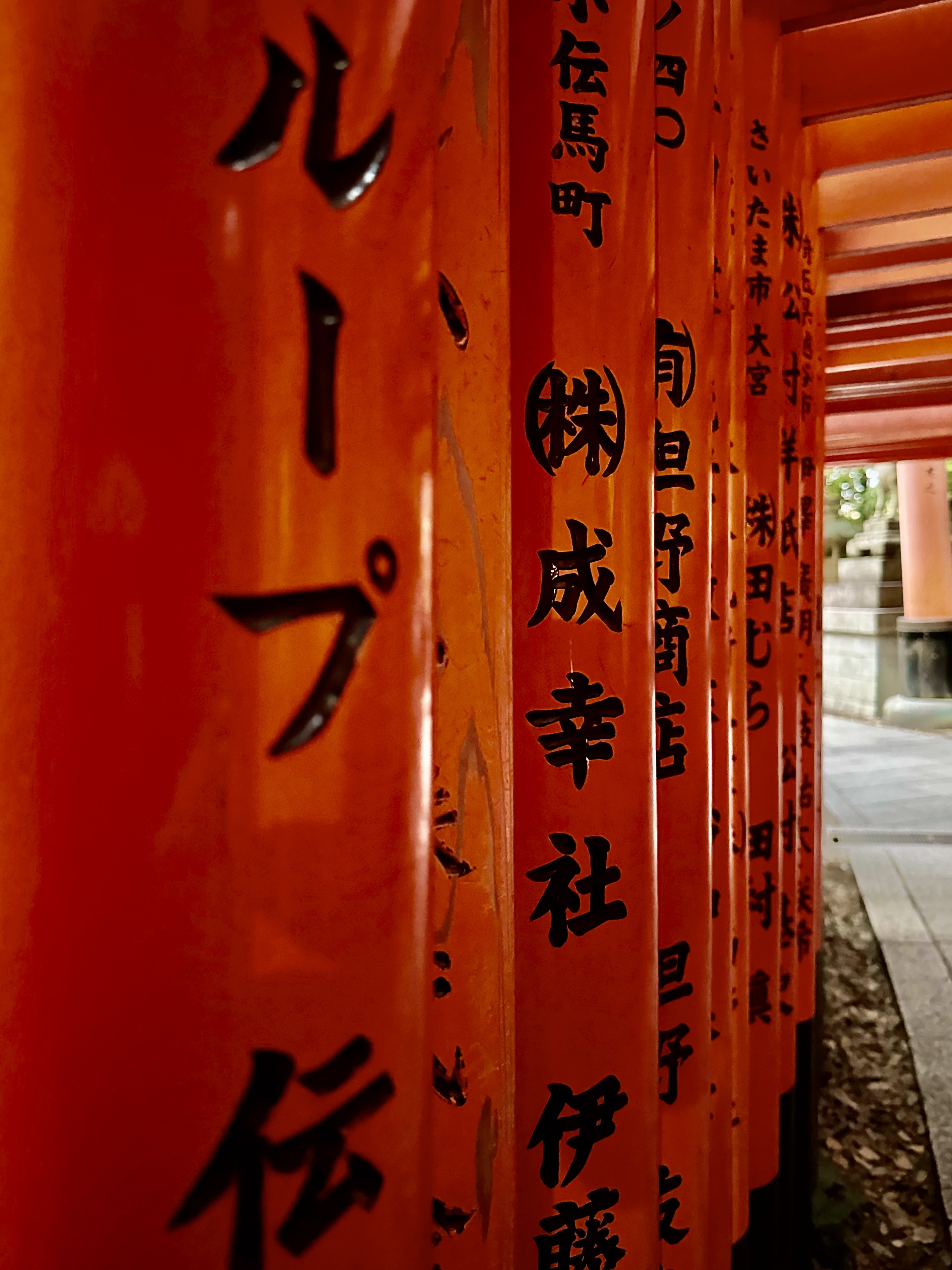 Torii rossi di Fushimi Inari a Kyoto — prospettiva fotografica