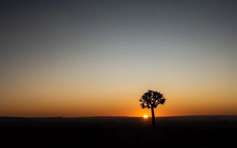 Composizione fotografica