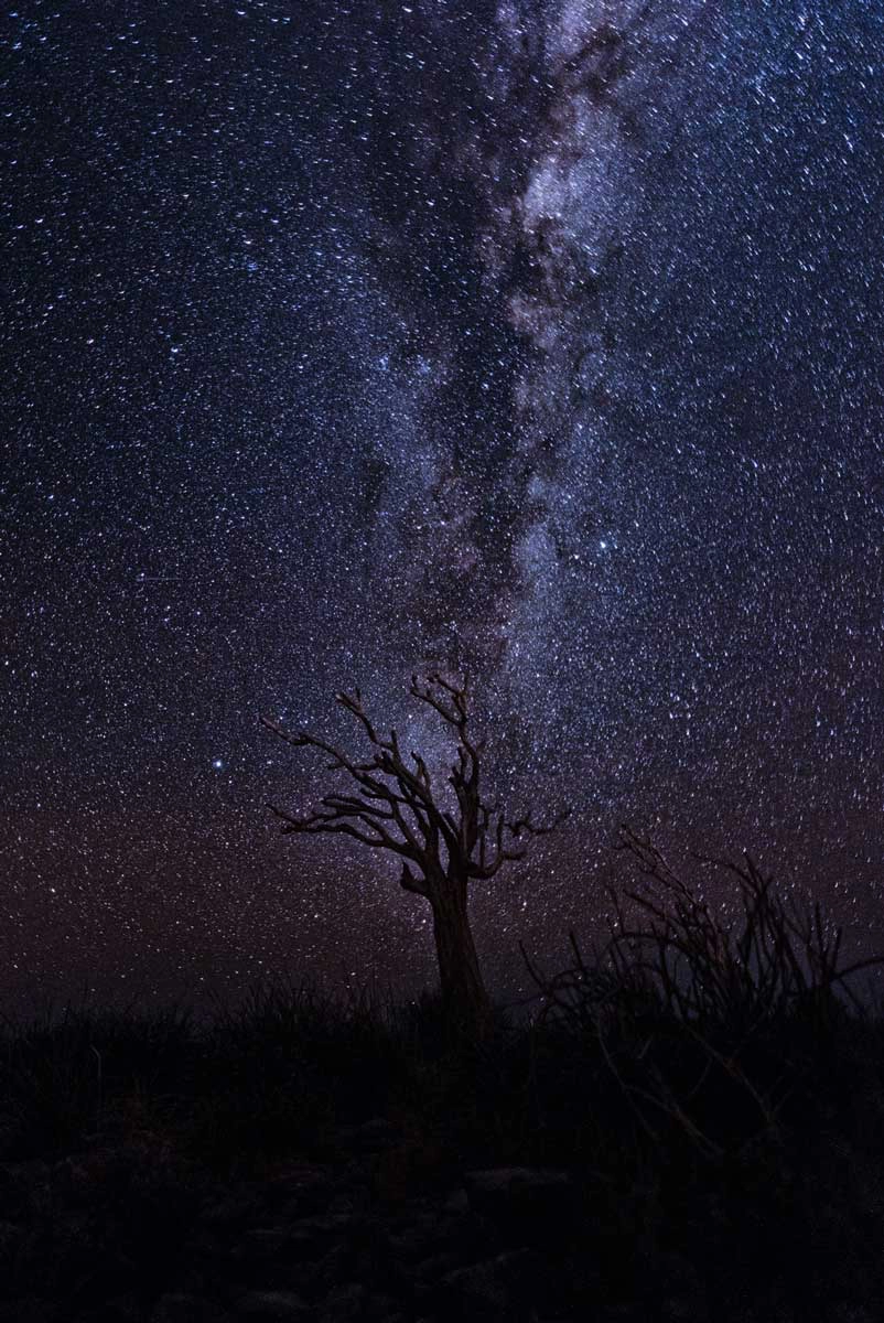 Celebrare la Terra: Un Giorno per Fotografare la Bellezza del Nostro Pianeta