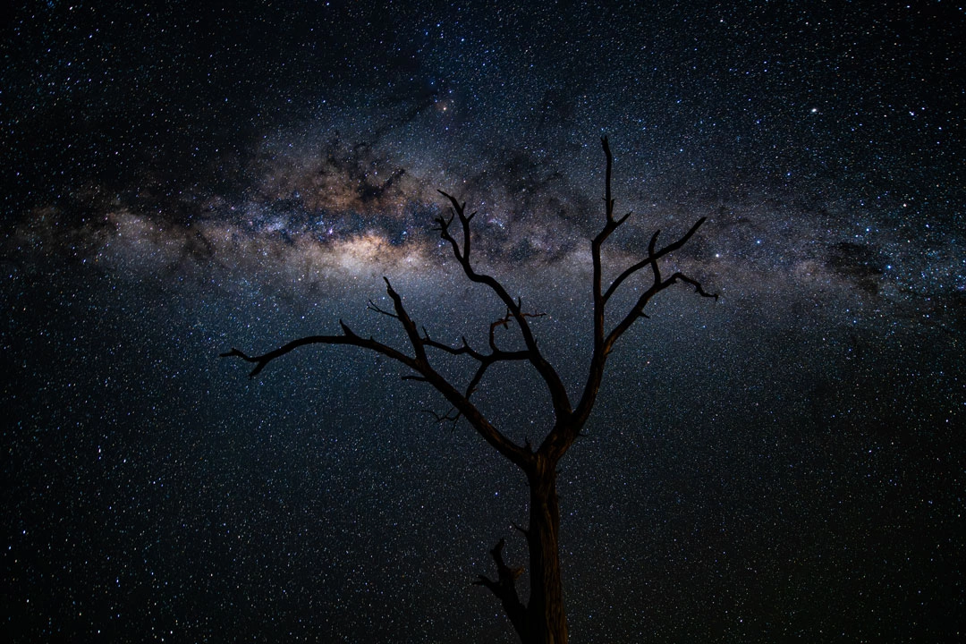 Fotografare una Notte Stellata in Namibia: Un Viaggio tra Stelle e Silenzi