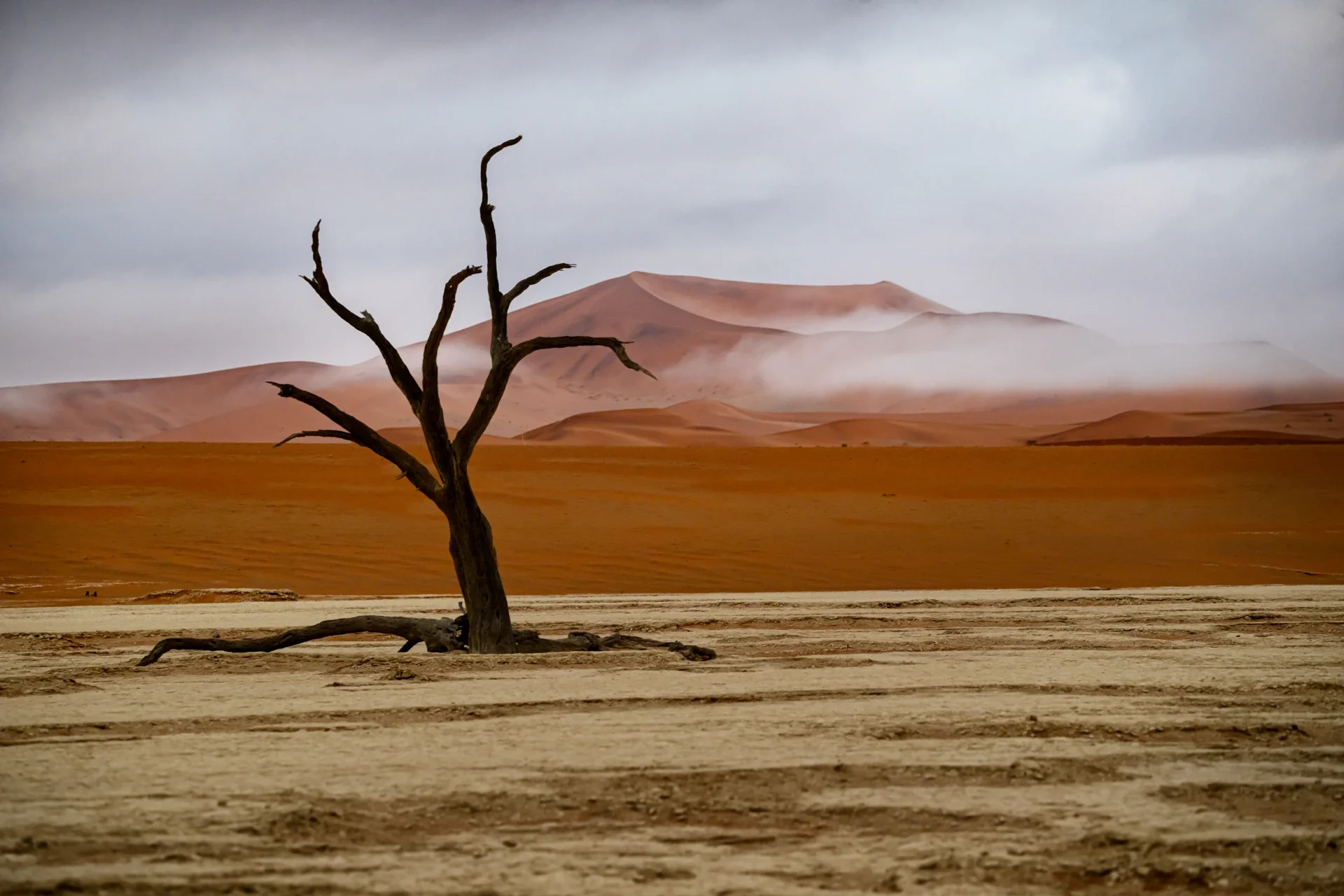 Namibia deserto
