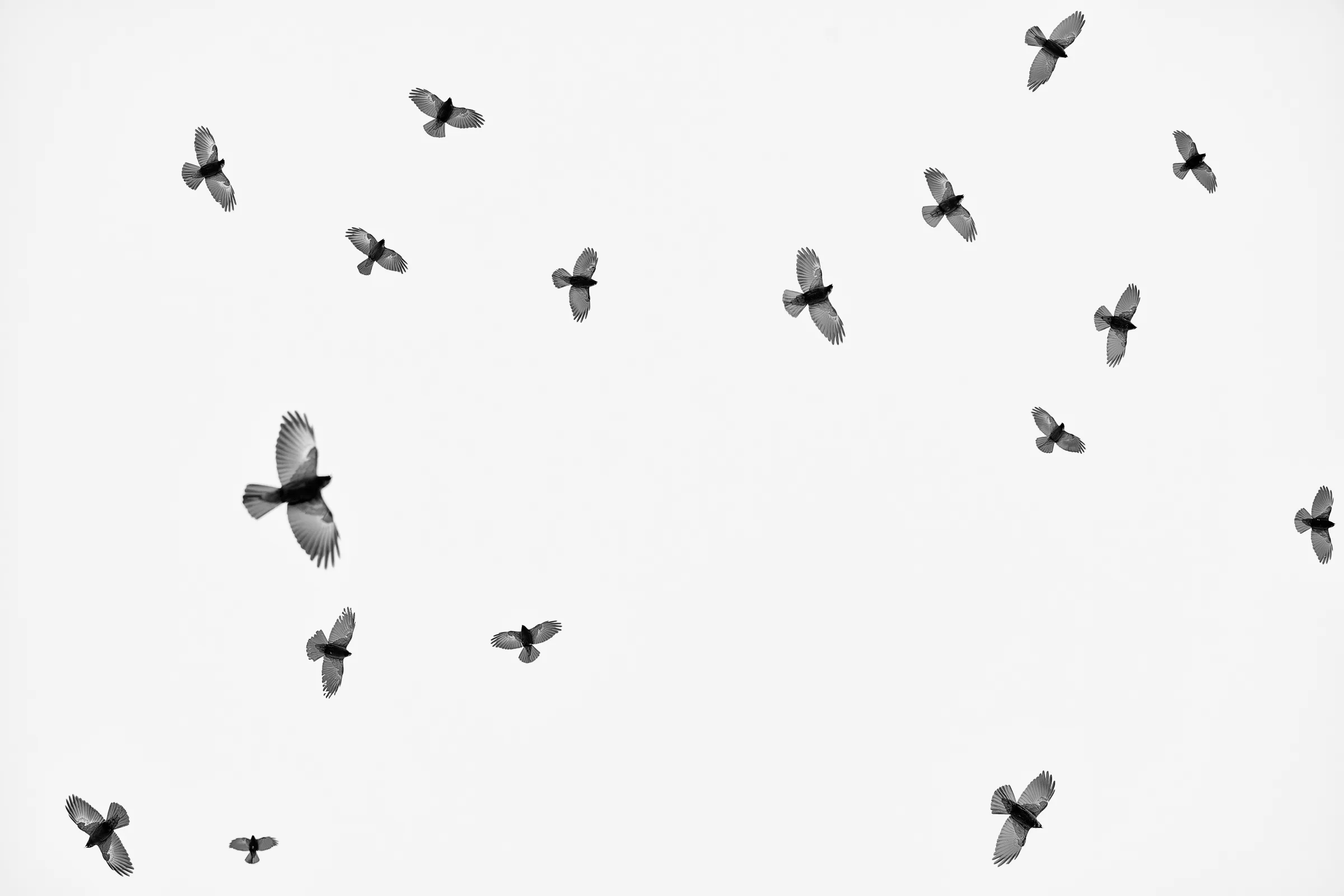 Fotografia in bianco e nero — il respiro tra gli elementi, lo spazio che dà ritmo all'immagine