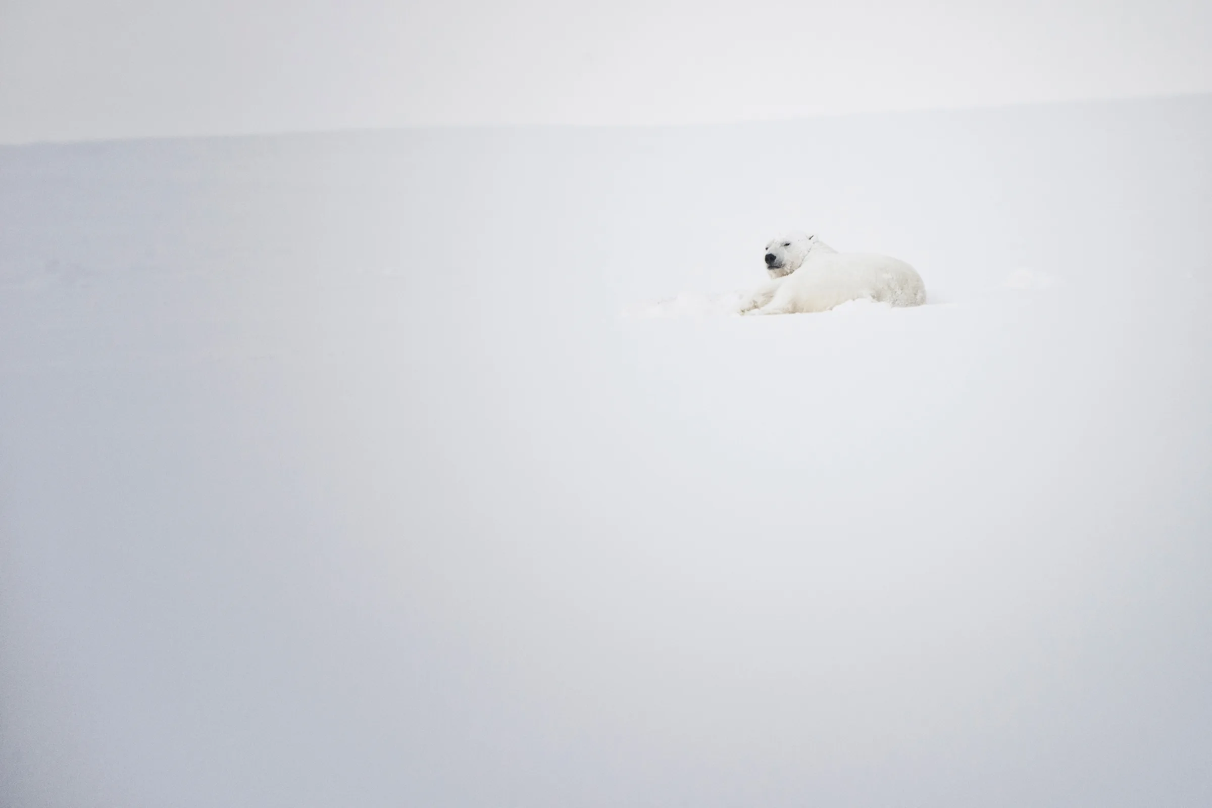 Stare sul beat — il ritmo visivo nella composizione fotografica