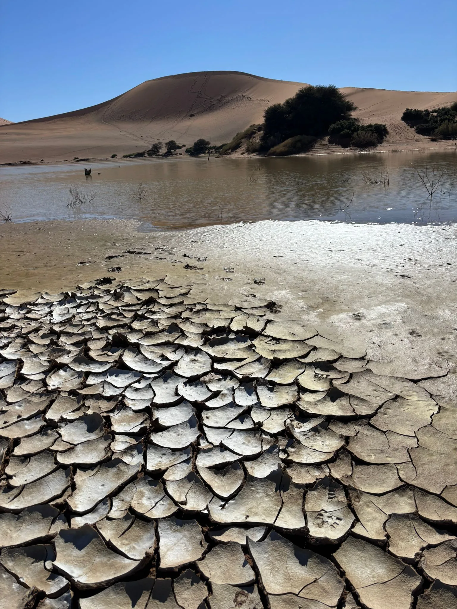 Argilla screpolata e acqua tra le dune a Sossusvlei, Namib Naukluft
