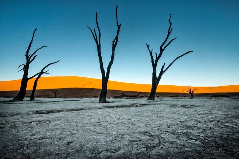 Viaggio fotografico Namibia — gruppo con Elisabetta Rosso