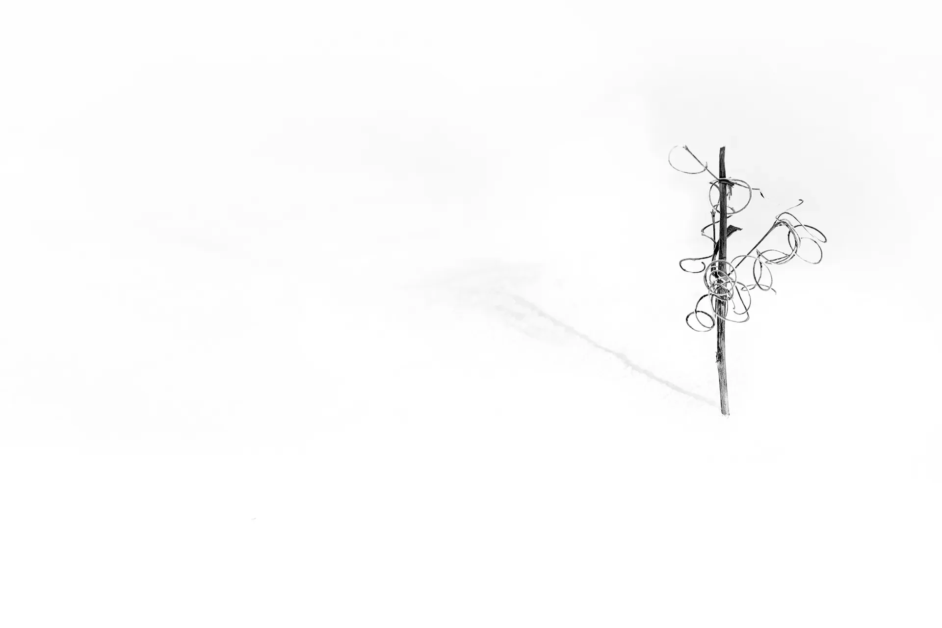 Valsavarenche minimal