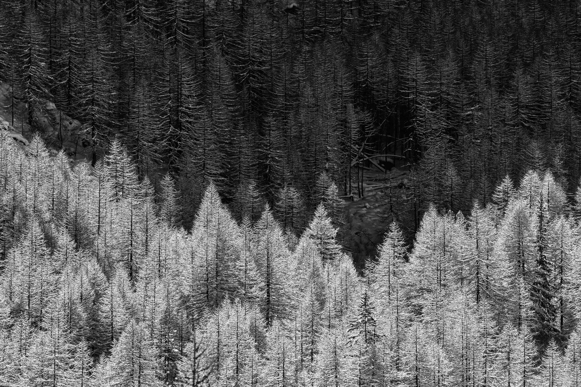 Valsavarenche minimal