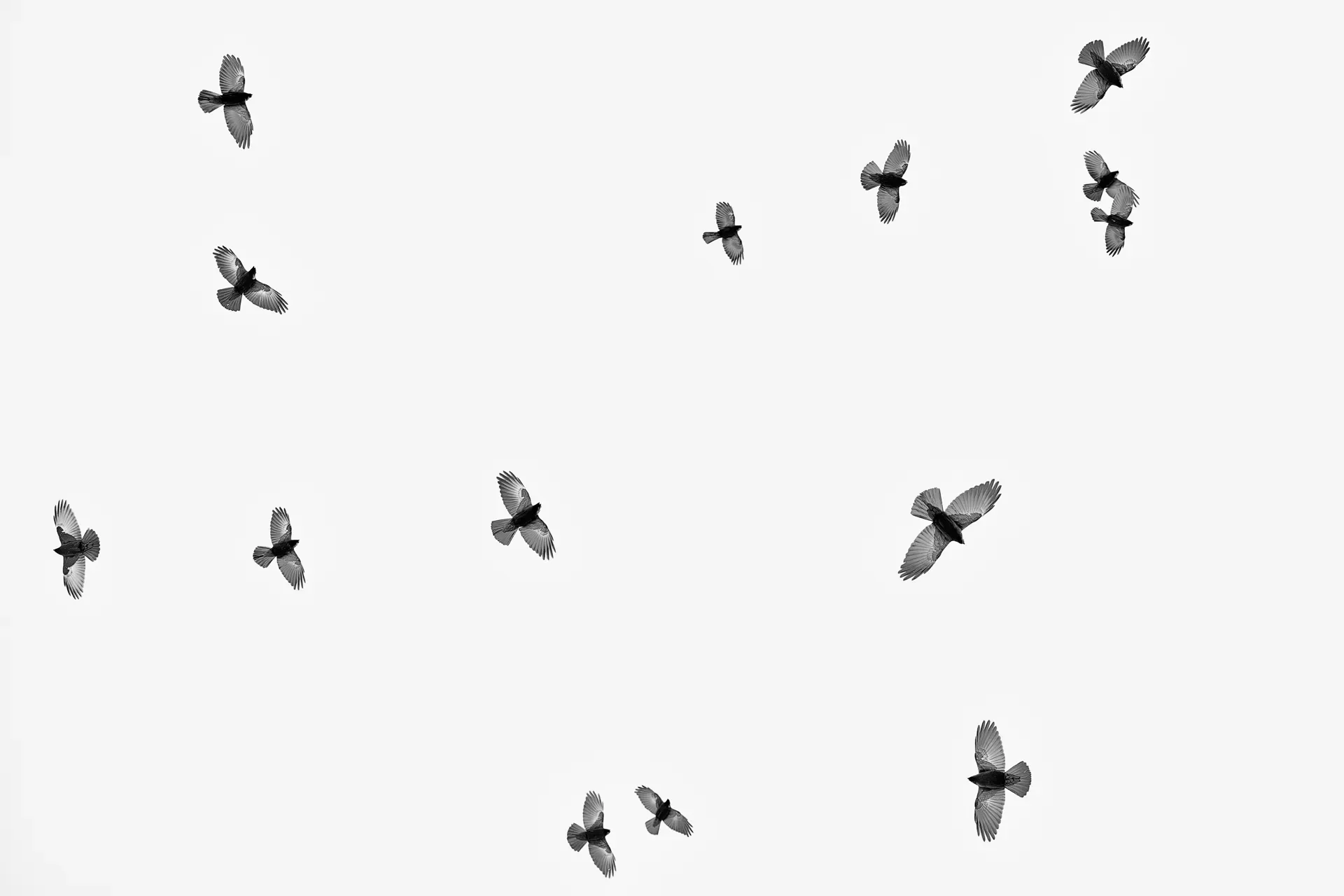 Valsavarenche minimal