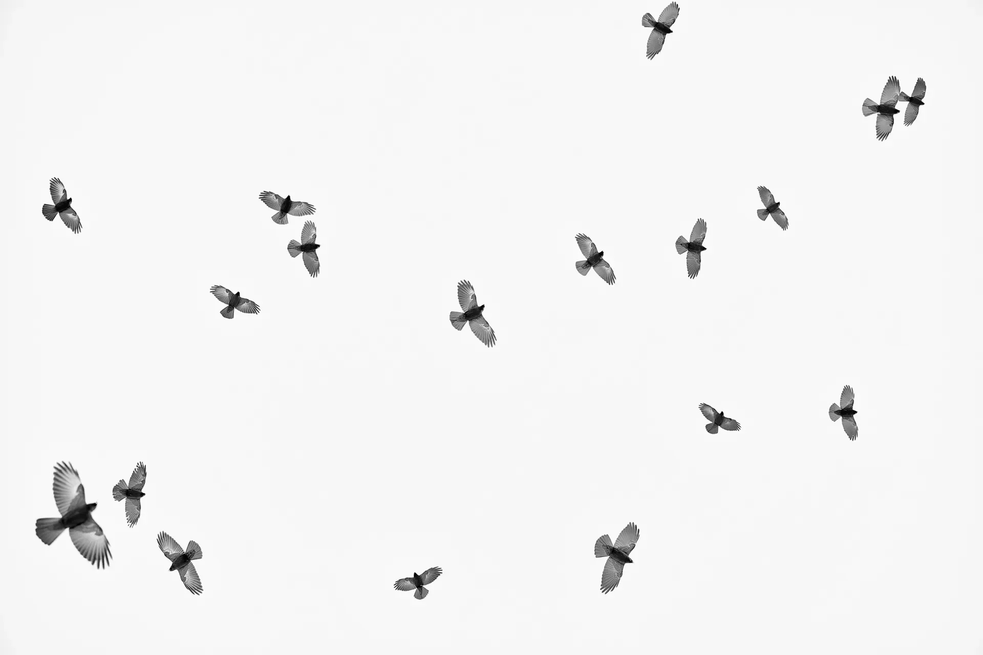 Valsavarenche minimal