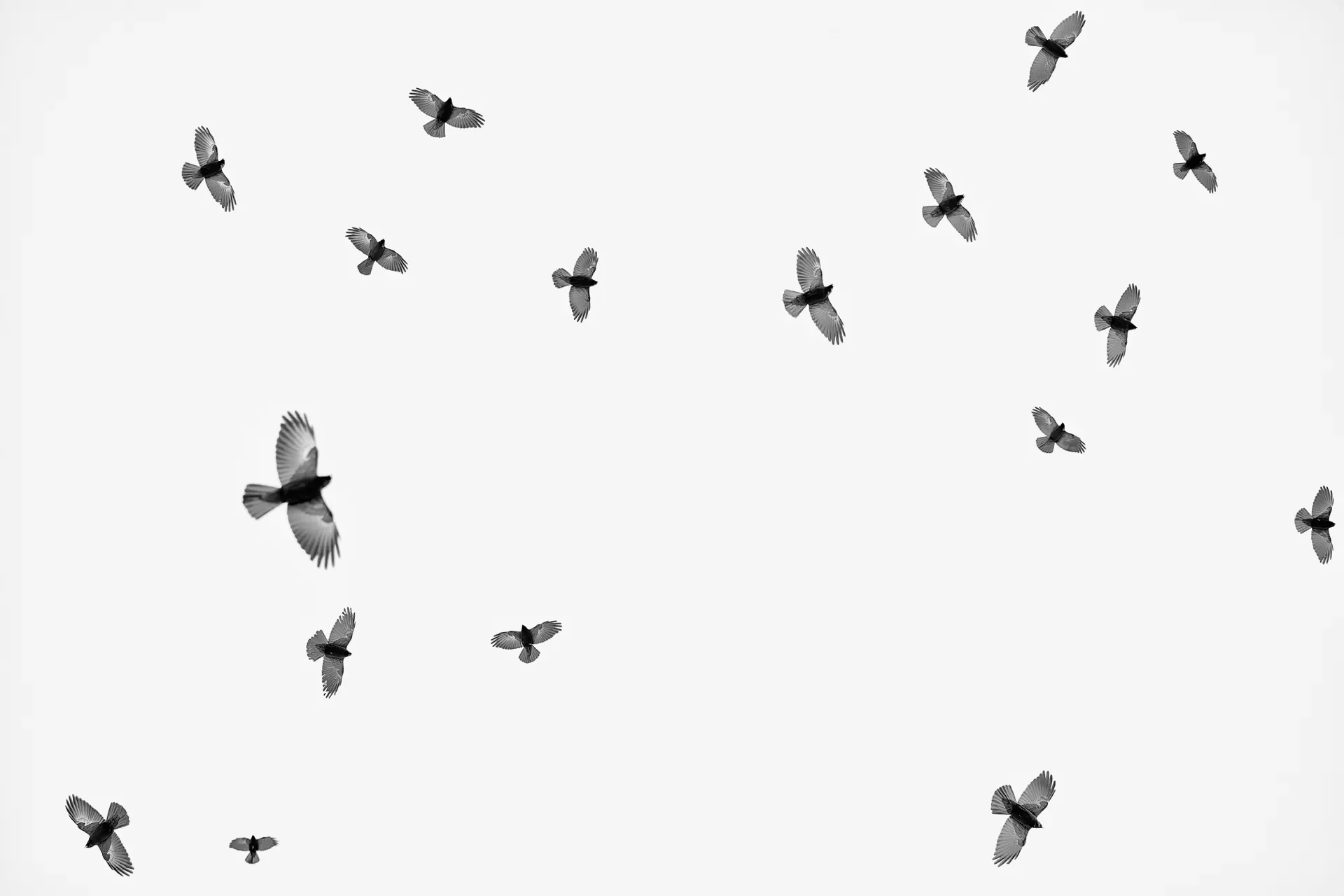 Valsavarenche minimal