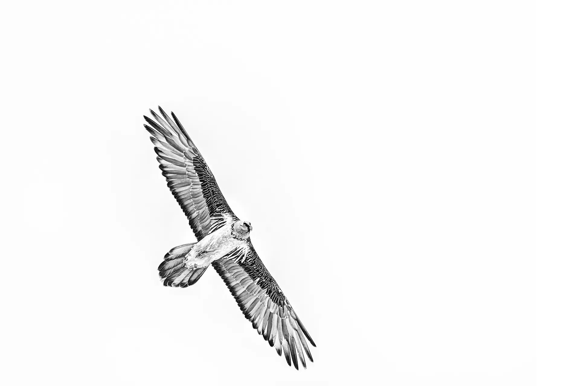 Valsavarenche minimal