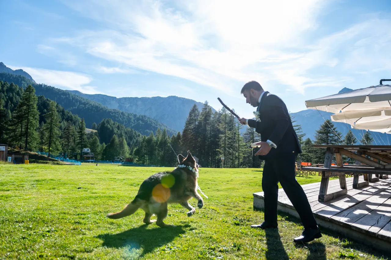 Sposi con il loro cane sul prato alpino al Chesal — momento spontaneo