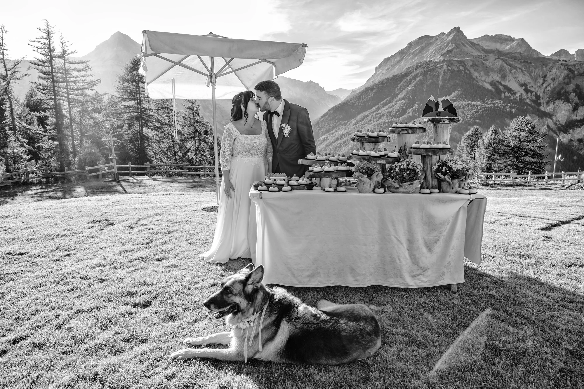 Taglio della torta sul prato del Chesal con il cane accucciato accanto agli sposi, matrimonio Giacomo e Irene