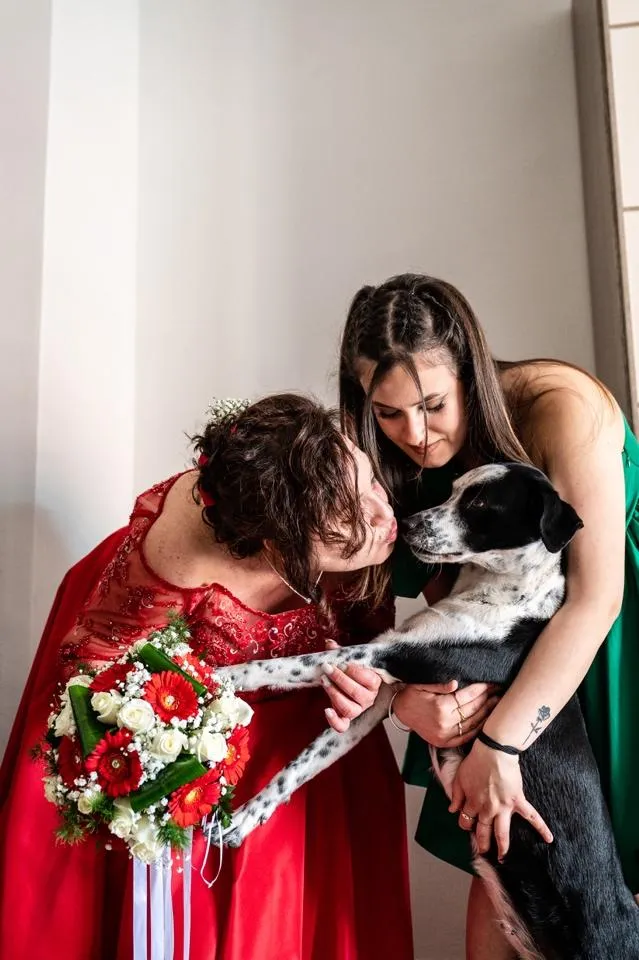 Il cane di famiglia annusa le scarpe rosse della sposa accanto al bouquet