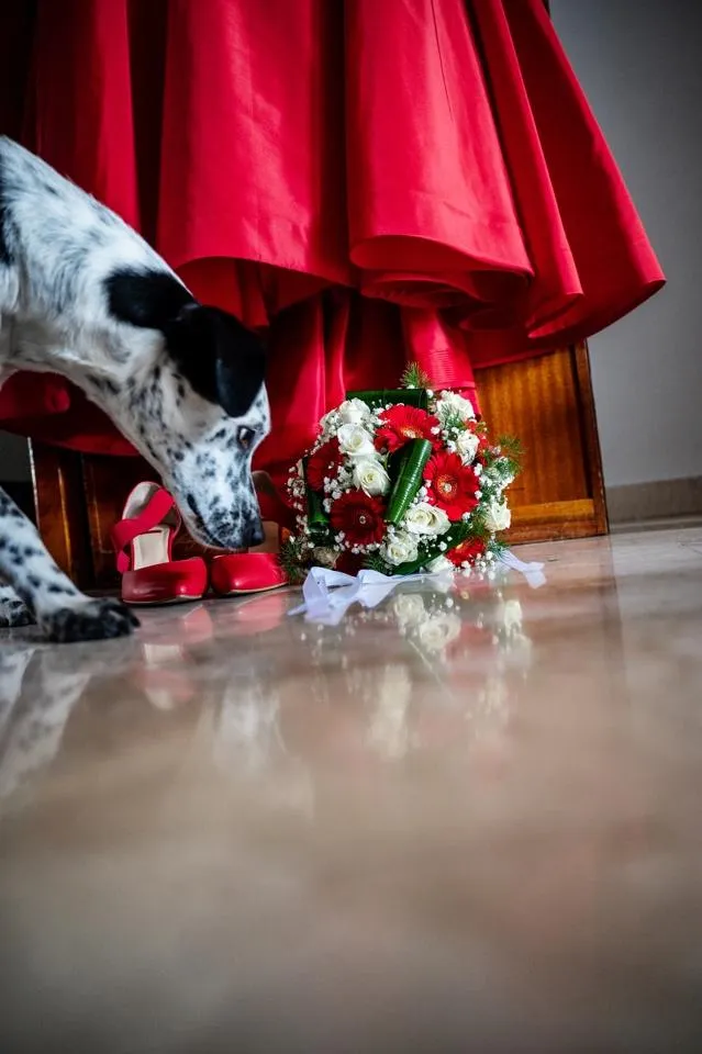 Ritratto delle due spose in rosso al matrimonio egualitario a Cavour
