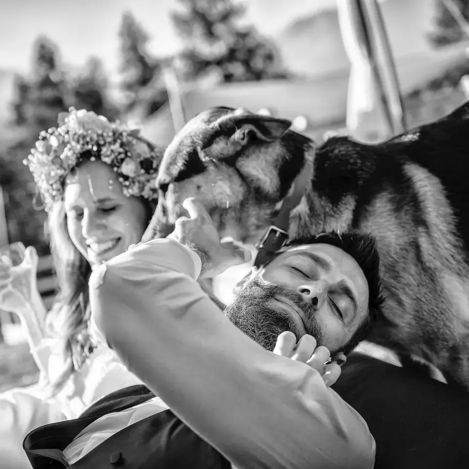 Il cane degli sposi durante il matrimonio in montagna