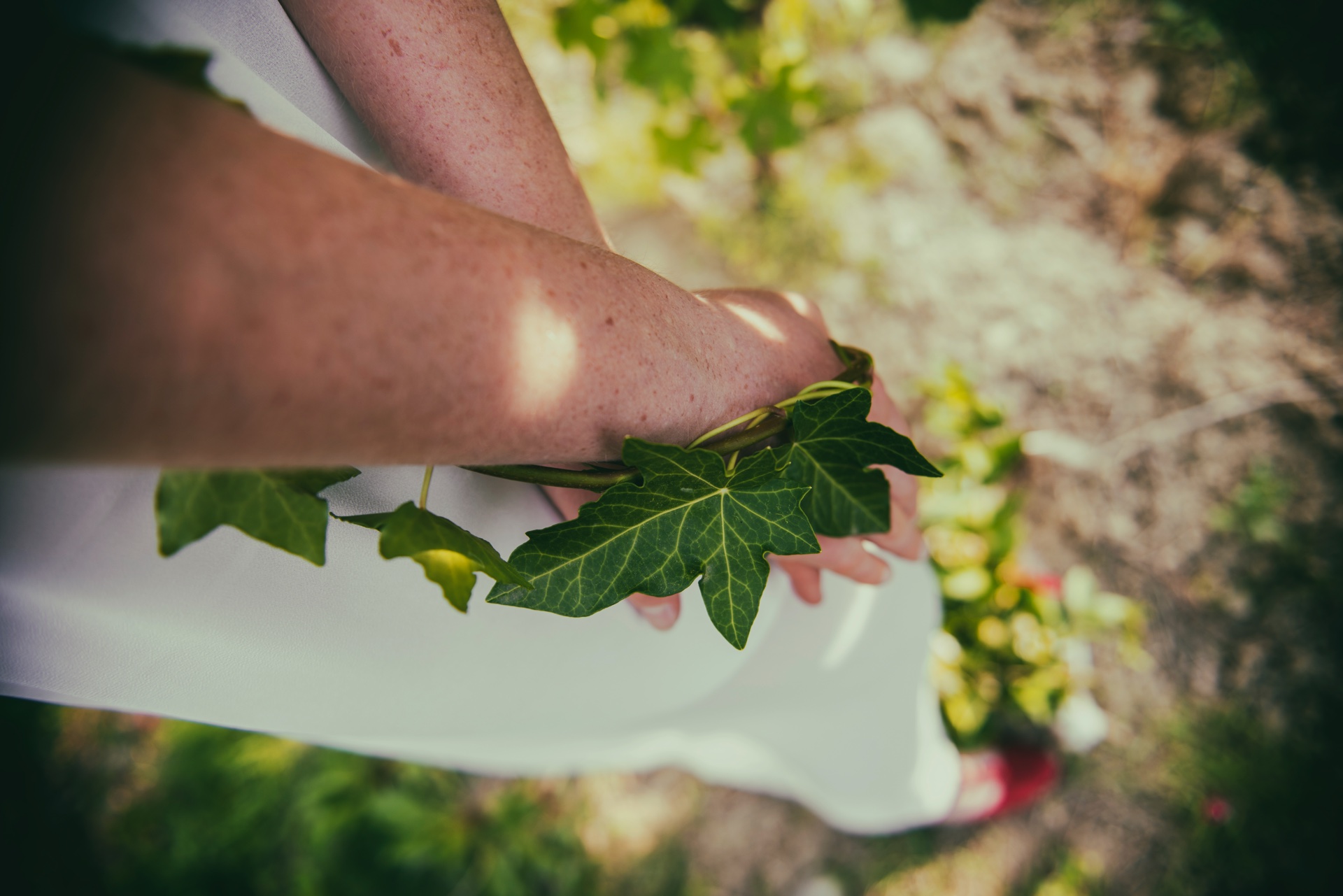 wedding-romantico-langhe-vigne-elisabetta-rosso21