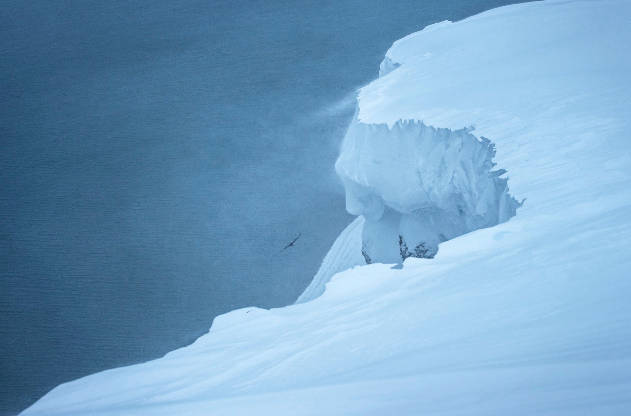 Svalbard - Viaggio fotografico Nikon School Travel