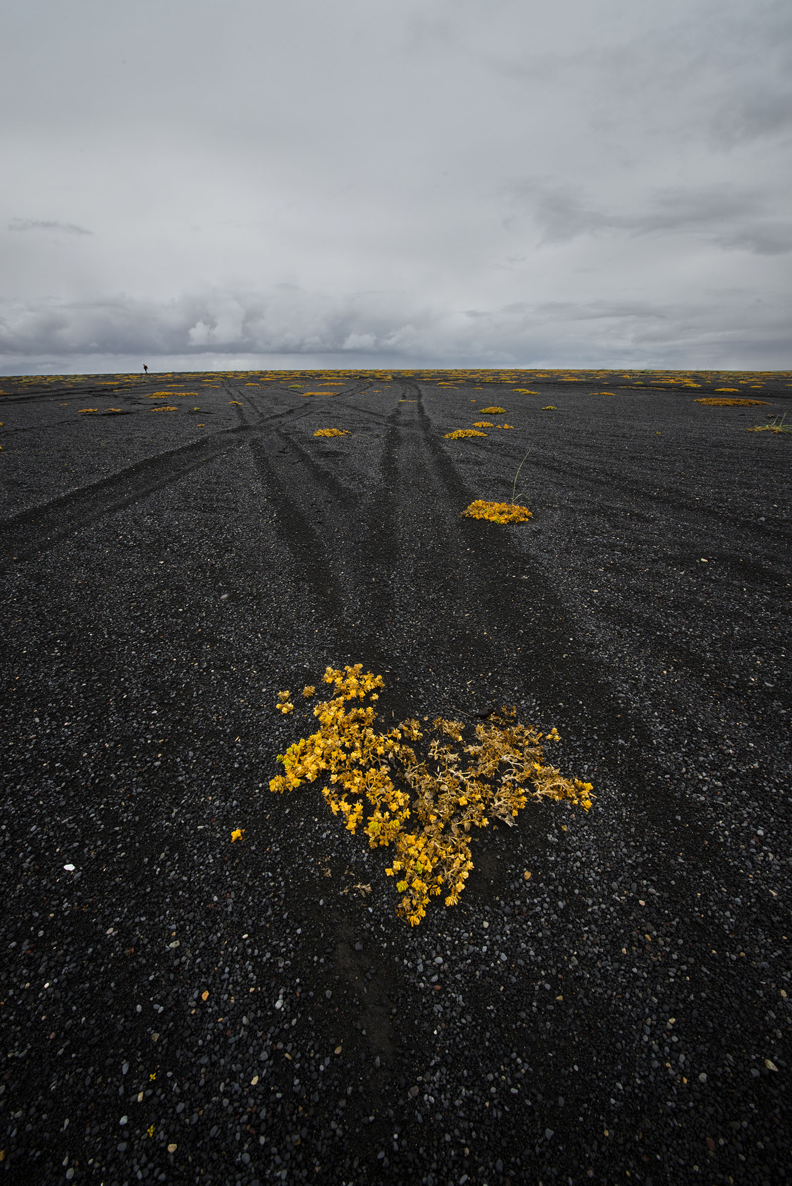 Islanda spiaggia nera e linee verticali