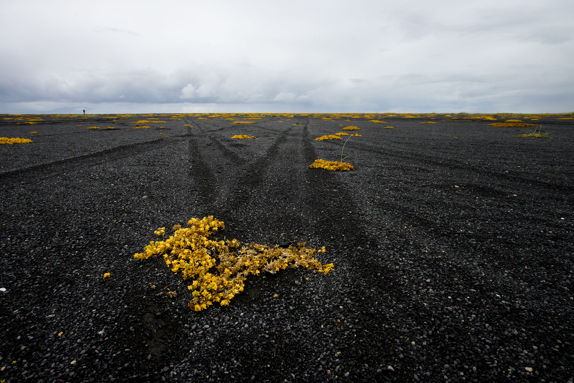 Islanda - viaggio fotografico in 4x4 - corso di fotografia online
