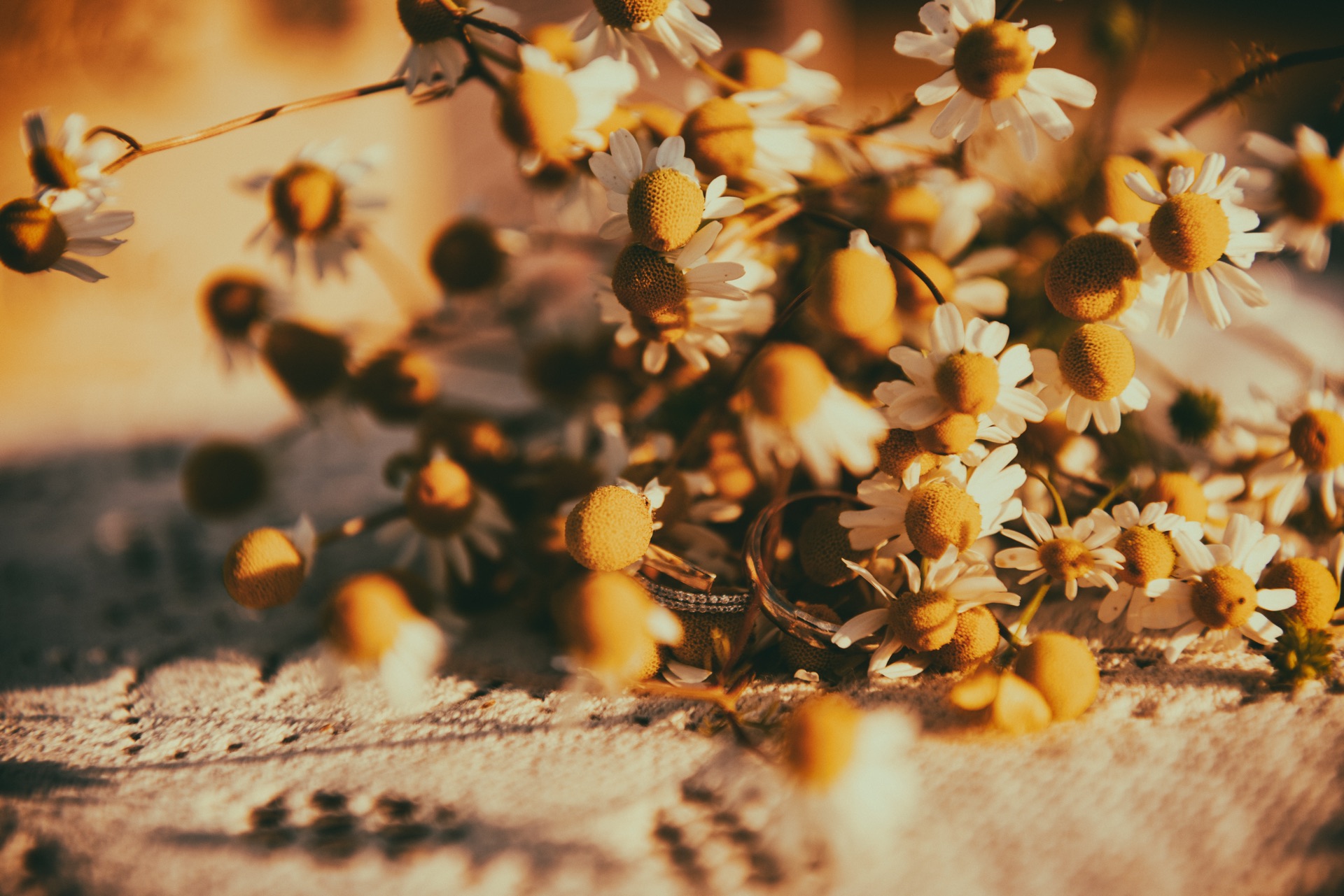 32-matrimonio-boho-chic-prati-campi-inspiration-wedding