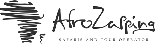 Partner 4