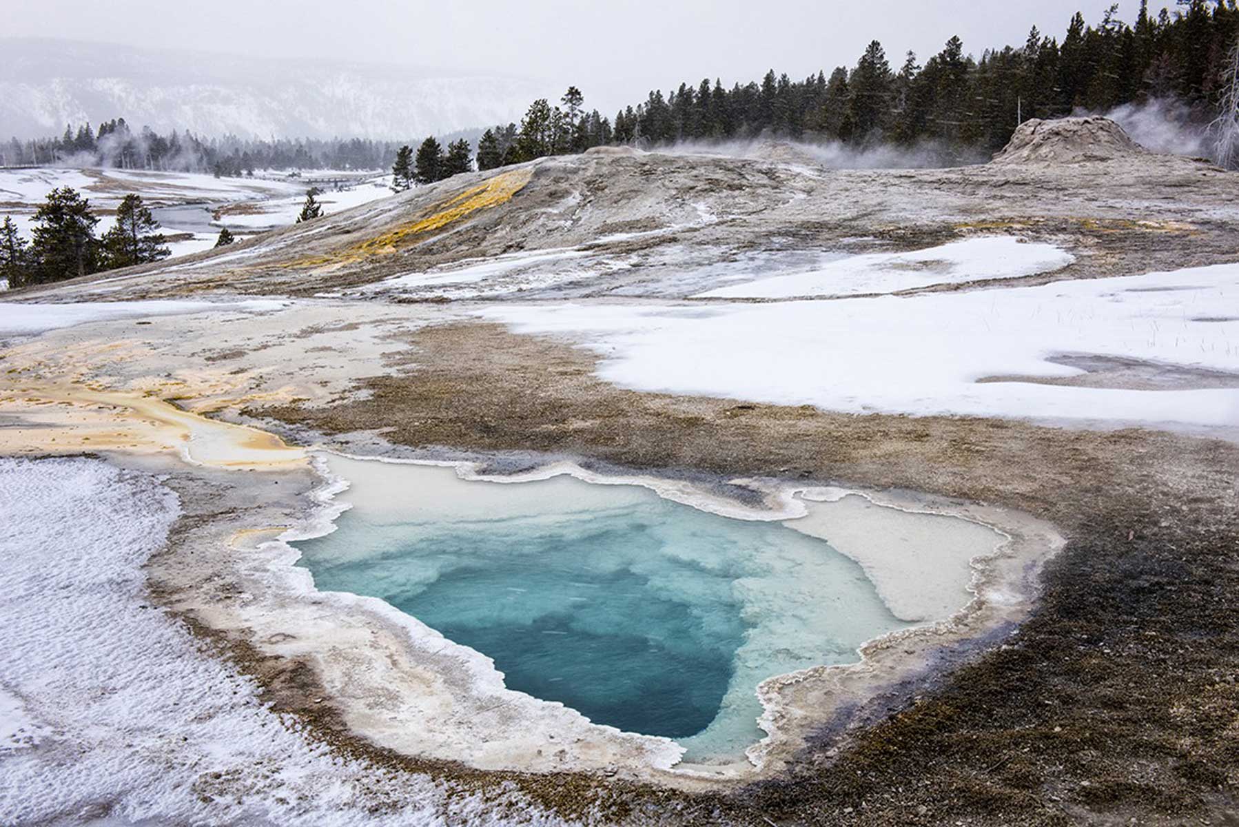 8d-yellowstone-inverno-viaggio-fotografico-bisonte-geyser-basin
