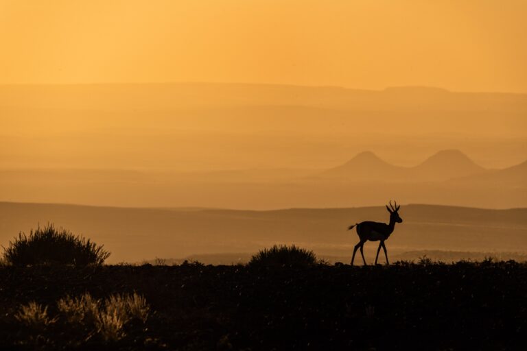 Namibia-viaggi-fotografici-nikon-school-travel-elisabetta-rosso-landscape030