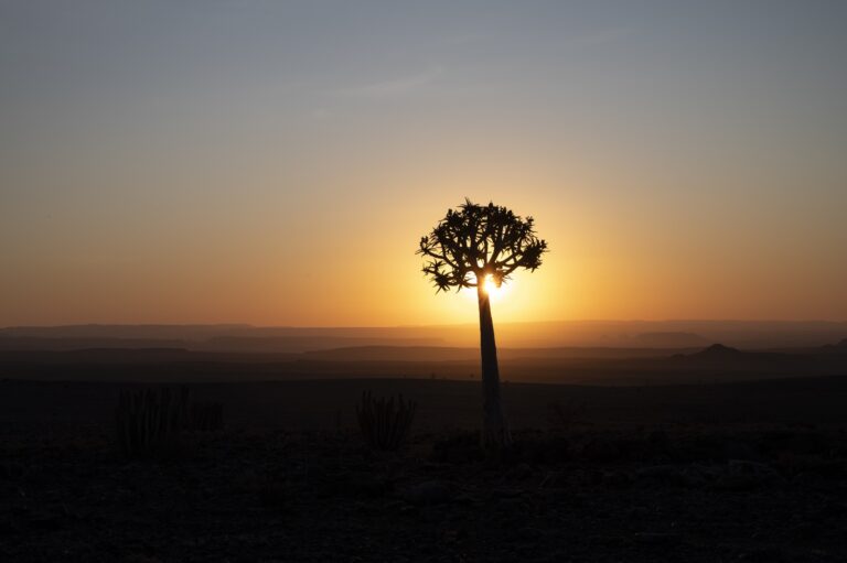 Nikon-School-Namibia-Elisabetta-Rosso-2