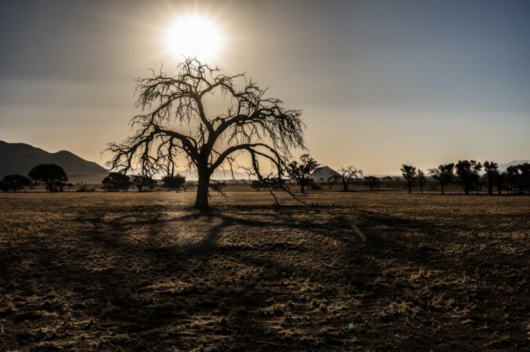 namibia-viaggio-fotografico-nikon-school-backstage2