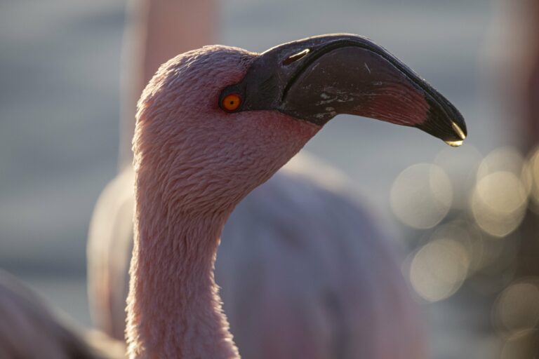 namibia-viaggio-fotografico-nikon-school-backstage4