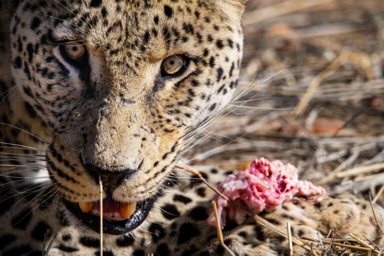 namibia-viaggio-fotografico-nikon-school-backstage6