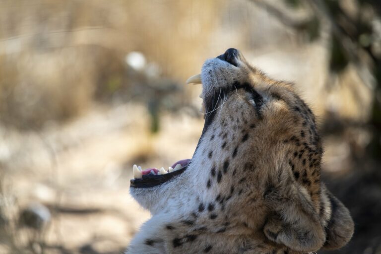 namibia-viaggio-fotografico-nikon-school-backstage7